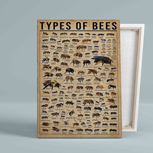 Types Of Bees Canvas, Bees Canvas, Knowledge Canvas, Wall Art Canvas