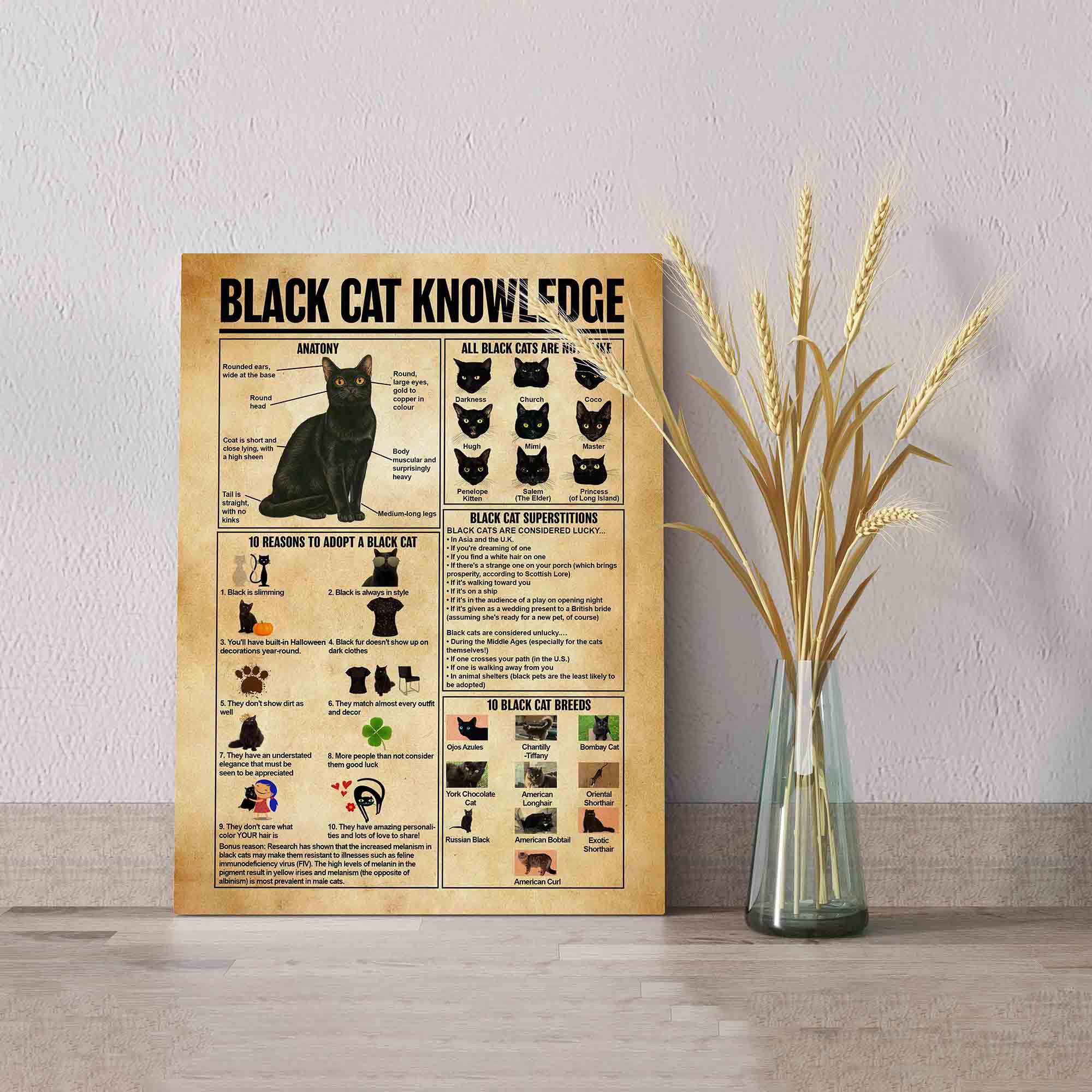Black Cat Knowledge Canvas, Cat Canvas, Canvas Wall Art, Gift Canvas