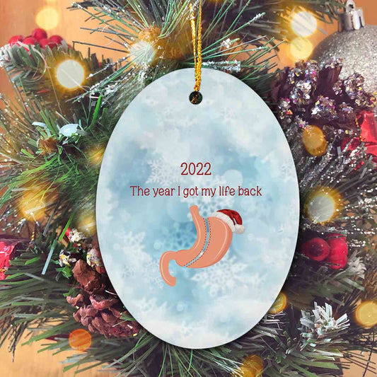 The Year I Got My Life Back Ornament, Recovery Ornaments, Personalized Christmas Ornaments, Christmas Decor Ornaments, Christmas Ornaments