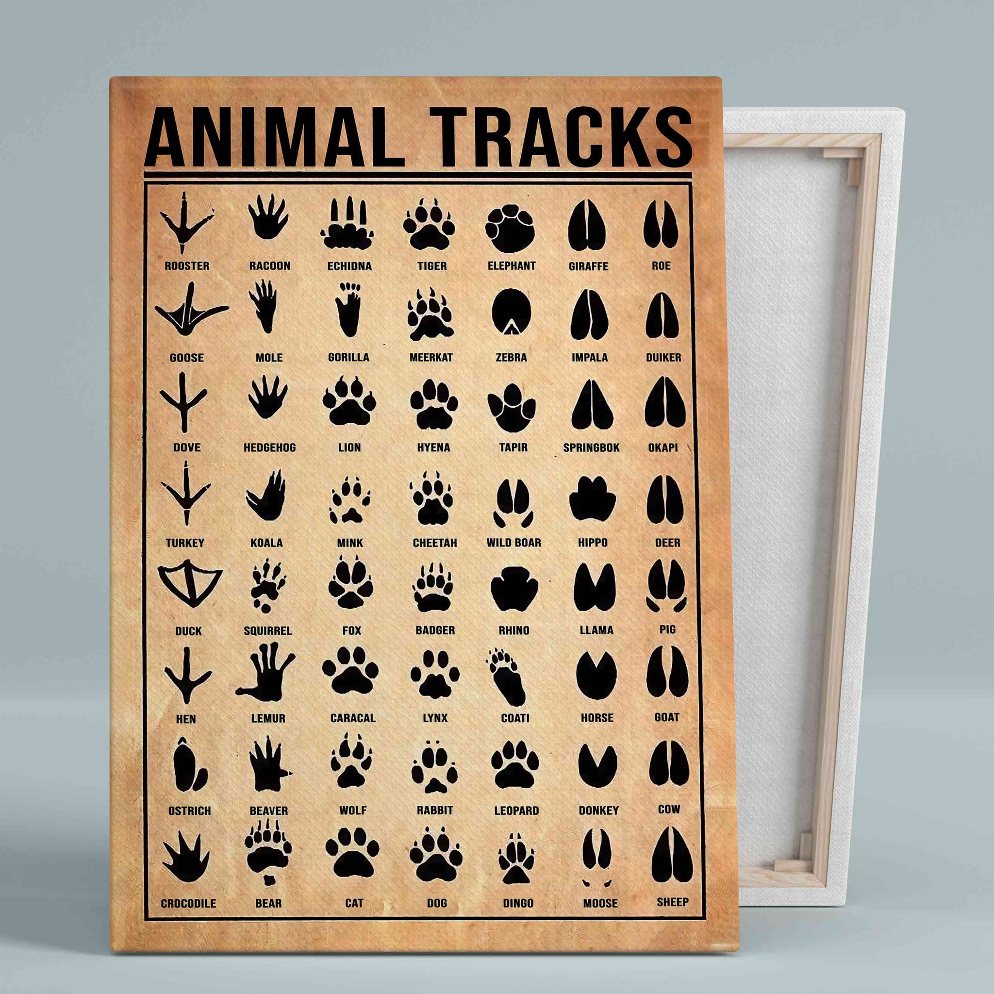 Animal Tracks Canvas, Animal Lover Canvas, Woodland Nursery Canvas, Knowledge Canvas, Wall Art Canvas