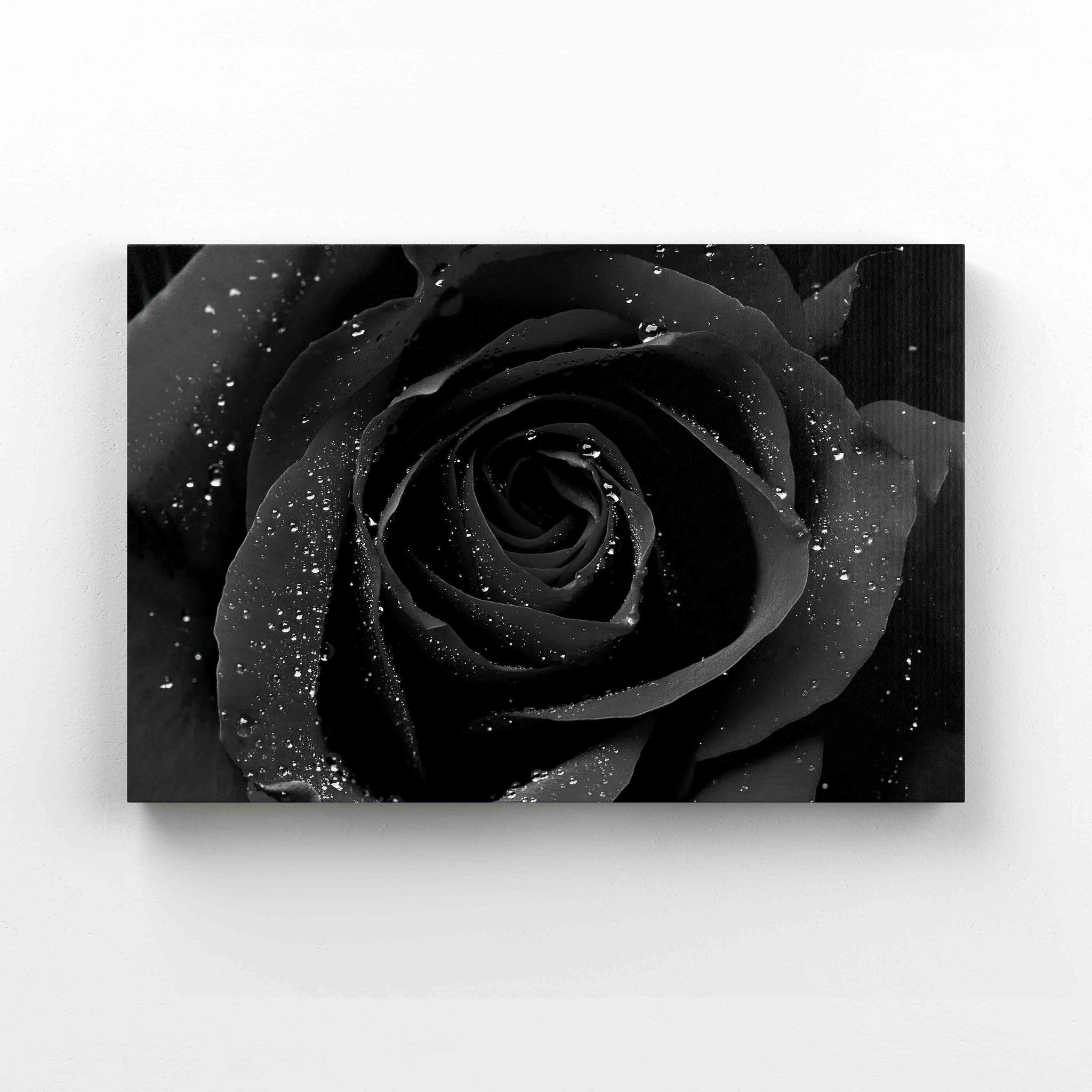 Black Rose Canvas, Rose Canvas, Flower Canvas, Canvas Prints, Canvas Wall Art, Gift Canvas