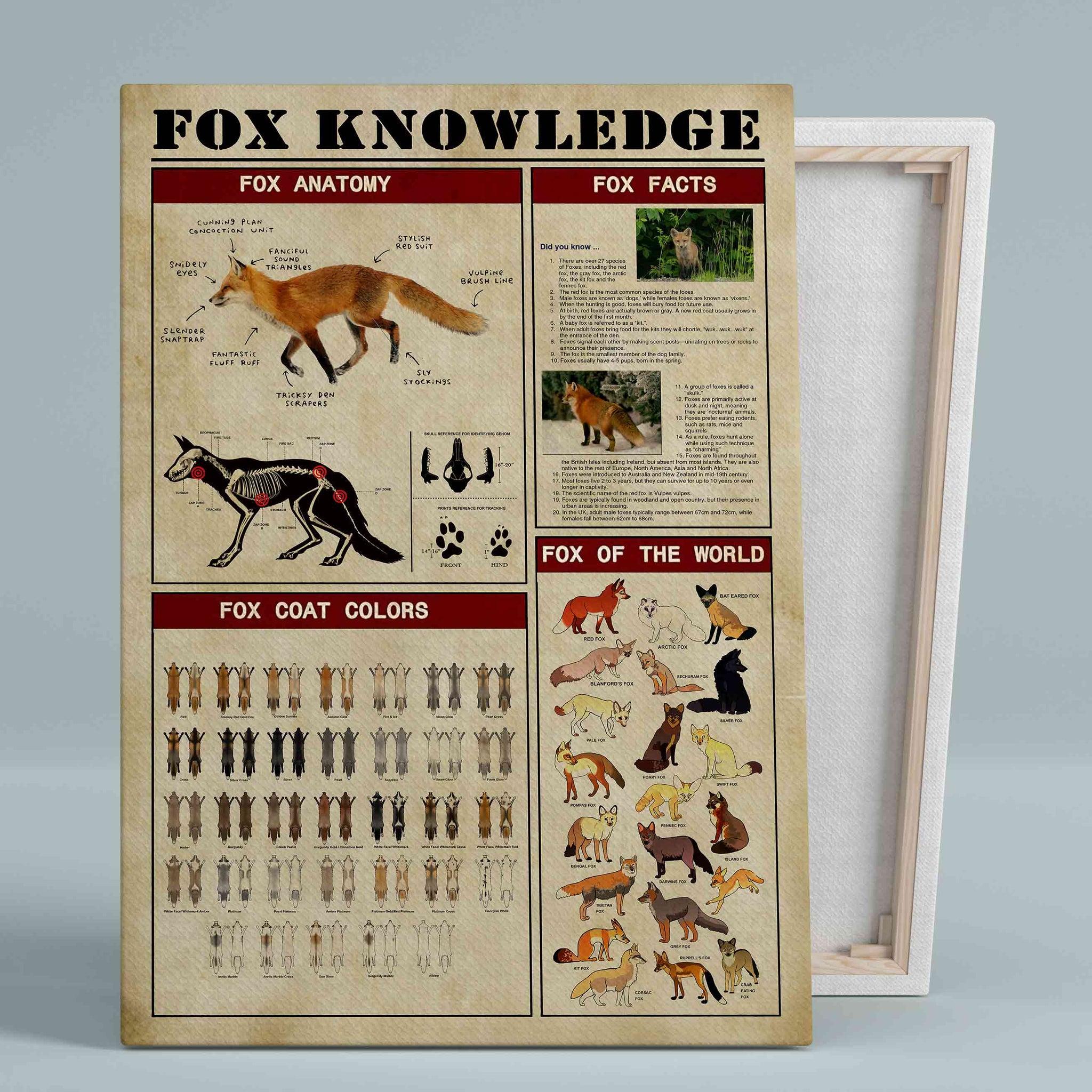 Fox Knowledge Canvas, Fox Canvas, Knowledge Canvas, Fox Facts Canvas, Animal Canvas, Wall Art Canvas