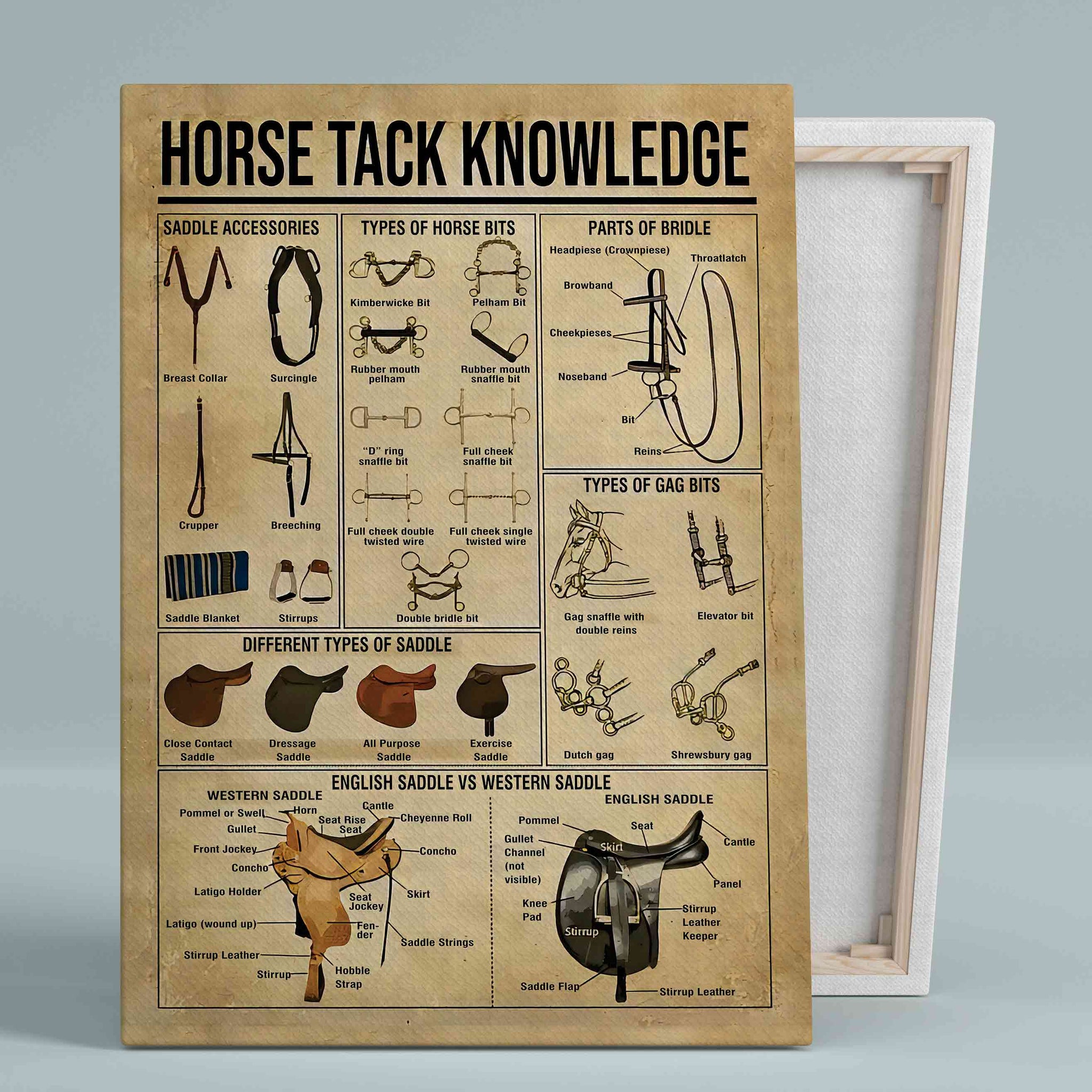 Horse Tack Knowledge Canvas, Knowledge Canvas, Horse Canvas, Wall Art Canvas, Gift Canvas