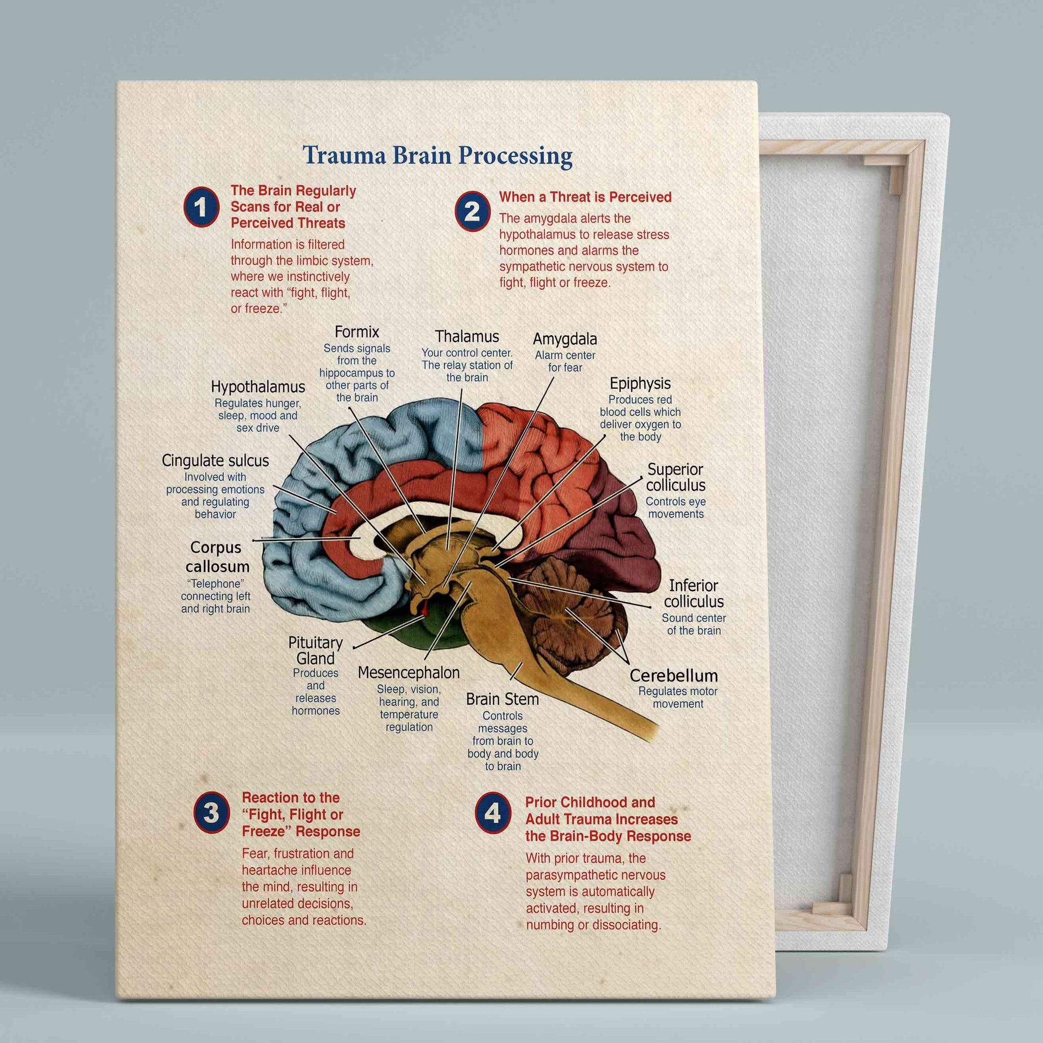 Trauma Brain Processing Canvas, Brain Canvas, Canvas Wall Art, Canvas Prints, Gift Canvas