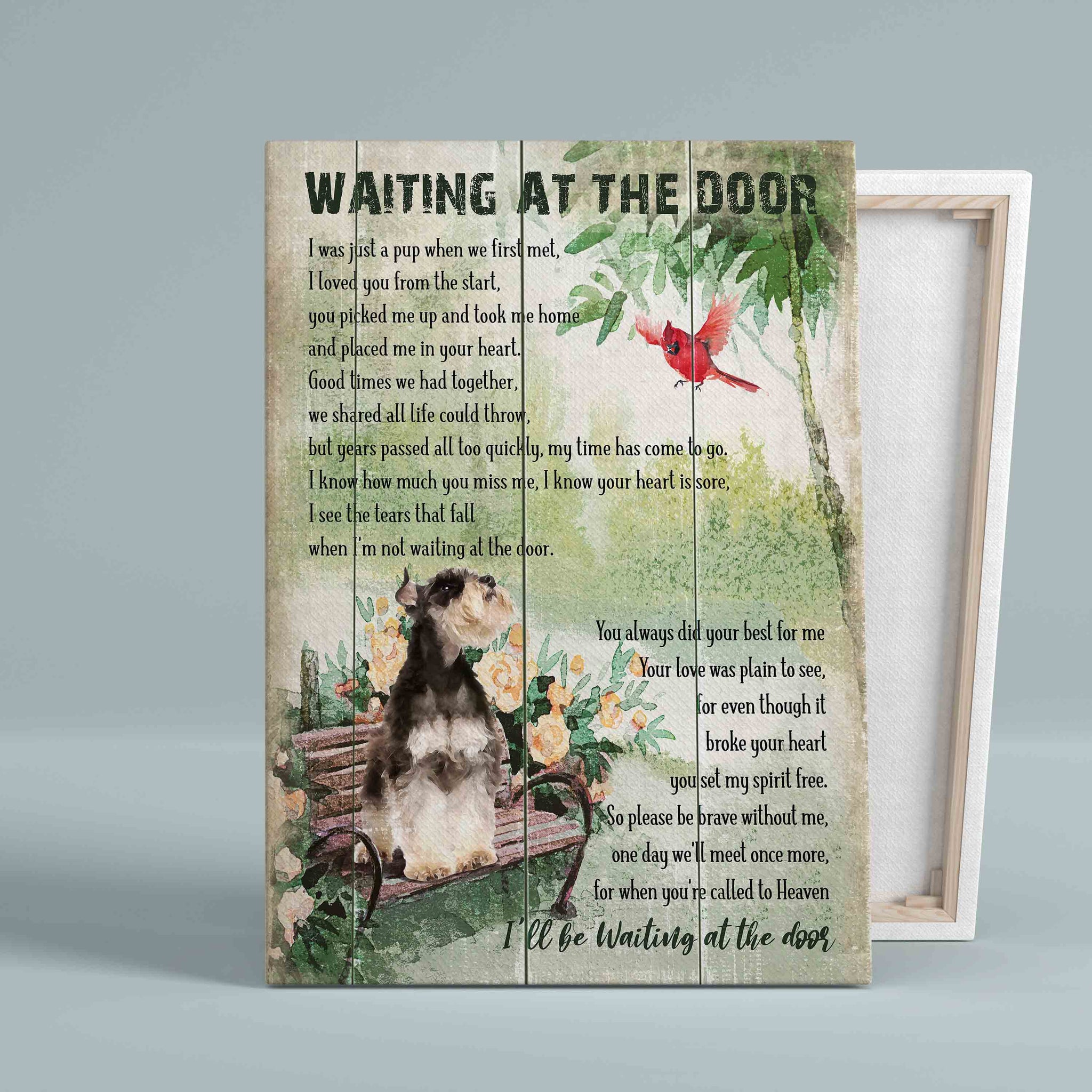 Waiting At The Door Canvas, Miniature Schnauzer Canvas, Red Cardinal Canvas, Dog Canvas, Gift Canvas